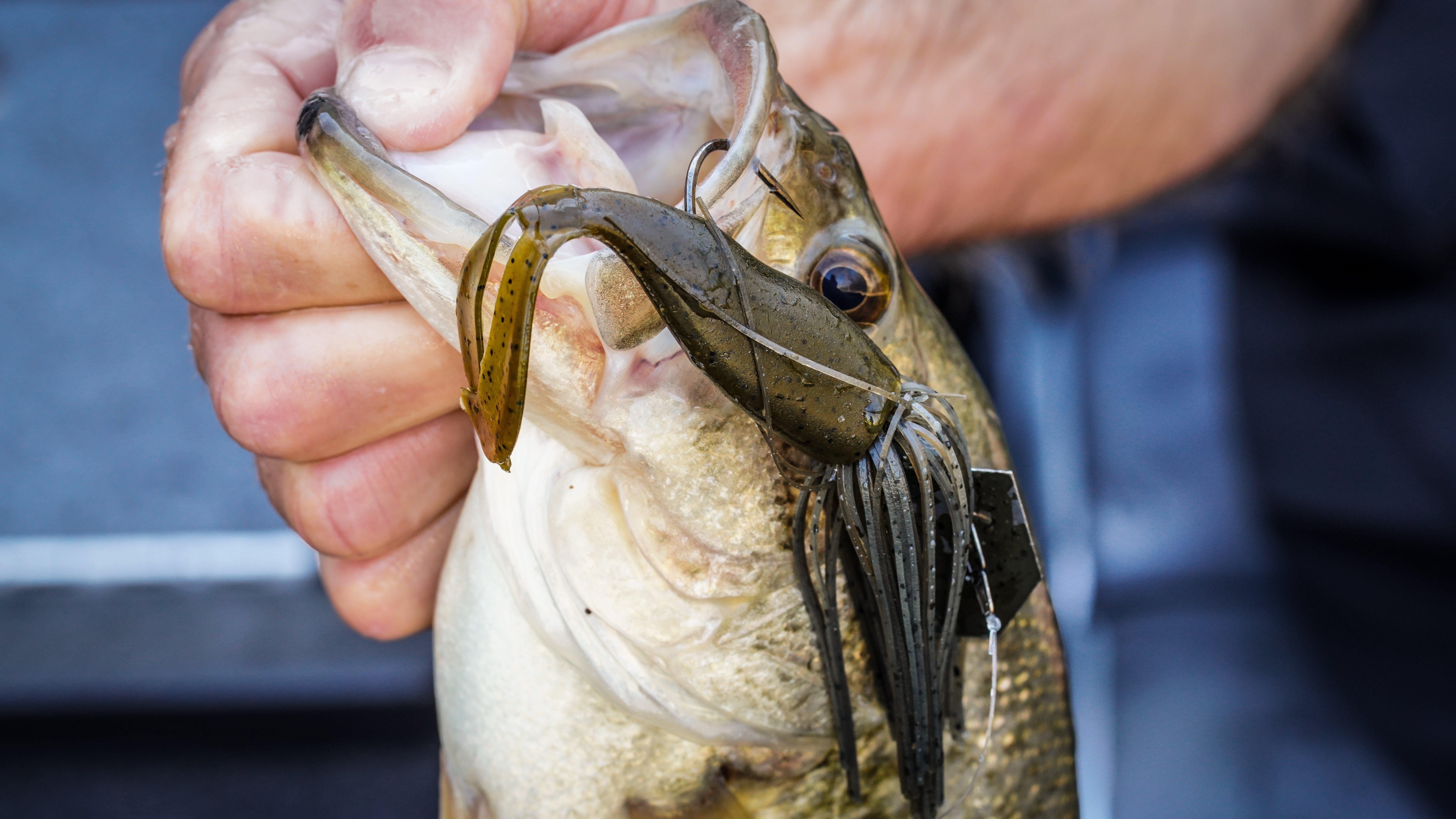 Berkley PowerBait The Deal Soft Fishing Bait