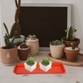 thumbnail image 3 of 10Pcs Rectangular Planter Tray Plastic Flower Pot Tray Plant Saucer Tray Plastic Reusable Bonsai Pot Saucer, 3 of 9