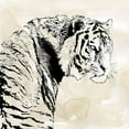 thumbnail image 3 of Robinson, Carol 15x15 Black Modern Framed Museum Art Print Titled - Tiger Stripes I, 3 of 5