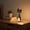 Black, variant on Dvumao Rechargeable Desk Lamp, Adjustable Stepless Dimming Reading Light for Bedside, Study, and Dorm Decor