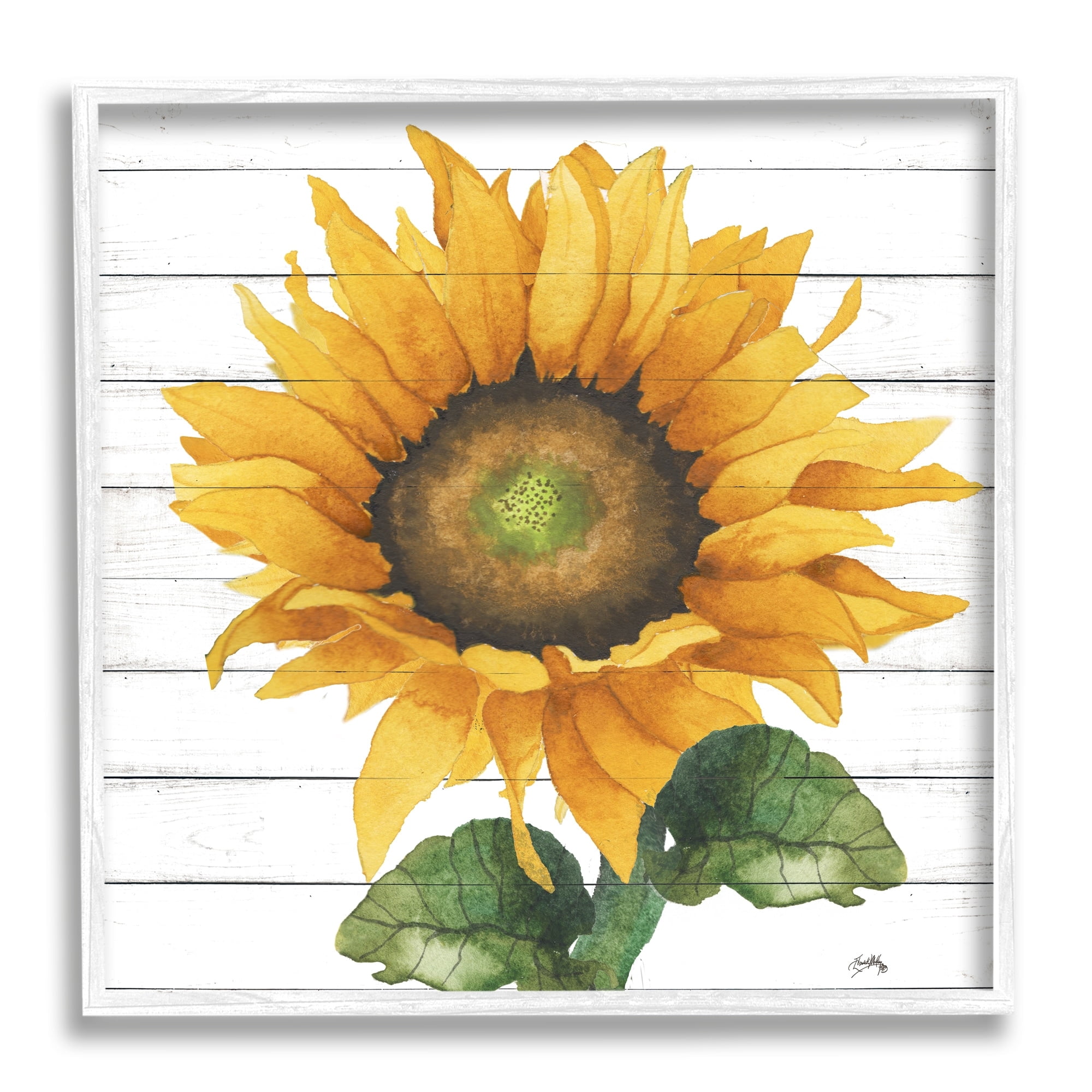 Stupell Industries Yellow Sunflower Blossom Bold Petals Rustic Design Framed Wall Art, 12 x 12, Design by Elizabeth Medley
