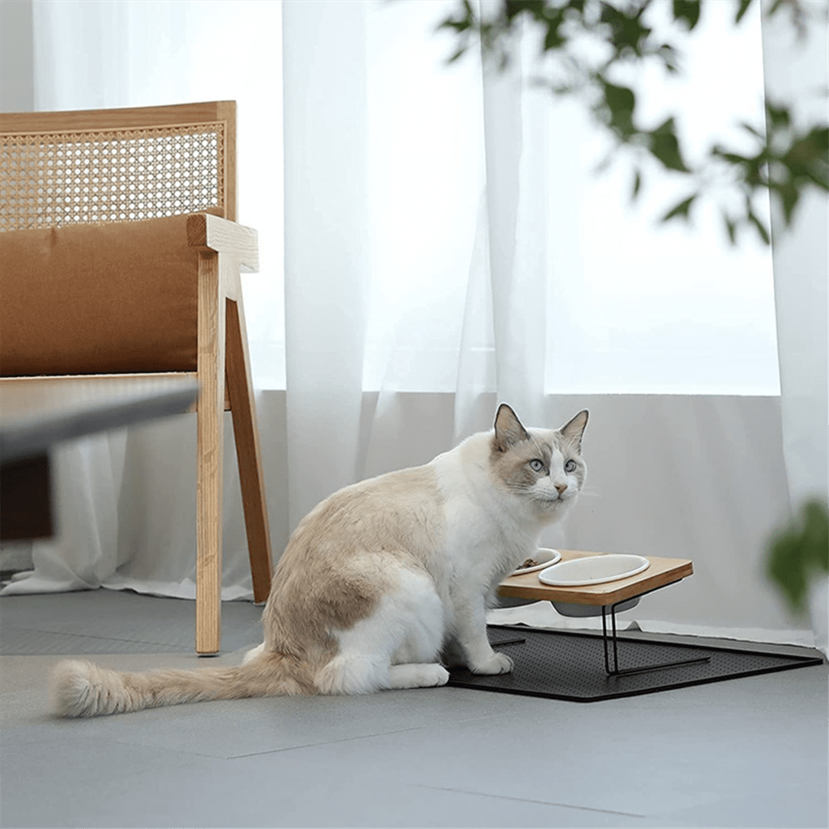 Elevated Cats Ceramic Bowls, Small Dog Food Feeding Dishes, Solid Bamboo Water Stand Feeder Set for Cats and Puppy