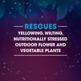 thumbnail image 6 of Miracle-Gro Rescue Outdoor Plant Potion, 3-Step Treatment to Restore Plants, 1.1 qt., 6 of 15