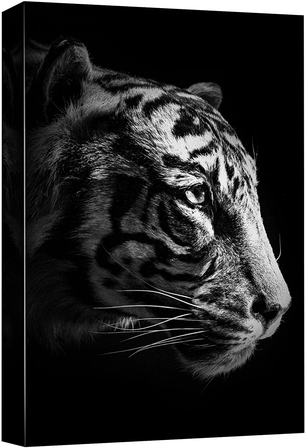 Black And White Photography Tiger B85675a7 1bac 4b92 90f5 Dda779da0944.996110c1bc3c9cb10abde8f4ca6eb946