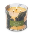 thumbnail image 3 of Colonial Candle Cabana Leaf 14.5oz 3 Wick Candle, Multicolor, 3 of 6