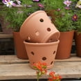 thumbnail image 4 of Trianu 3 Pack Terracotta Orchid Pots with Holes and Saucers 5.9 inch Clay Orchid Planter Pots for Repotting, Plant Flower Pots for Orchid Indoor and Outdoor Promotes Air Circulation, 4 of 8