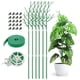 thumbnail image 5 of Juego de 6 estacas de soporte para plantas Zulema para jardín con lazos giratorios y correa 100 cm, 5 of 7
