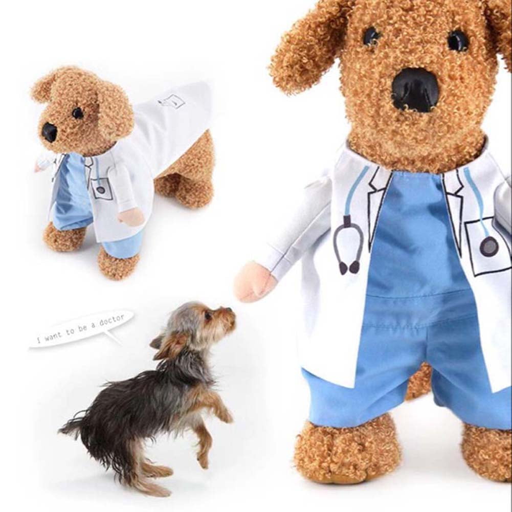 dr costume for dog