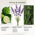 thumbnail image 4 of Homeidcs SereneScent™ Bergamot & Lavender 120ml Home Fragrance Essential Oil, 4 of 5