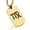 Gold, variant on Stainless Steel Virgo Zodiac Sign (Maiden) Dog Tag Pendant Necklace