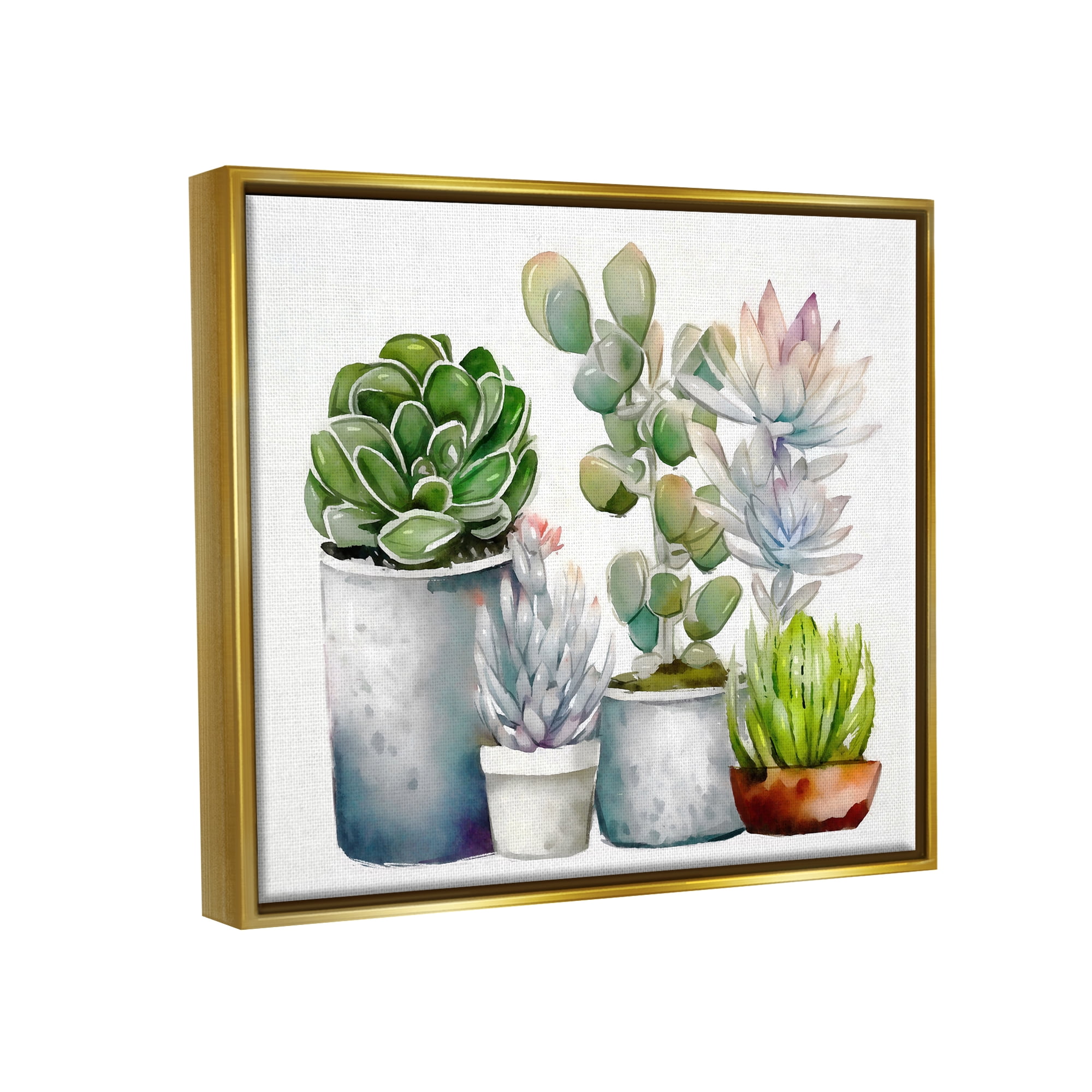 Stupell Industries Mixed Botanicals Floral Succulents Botanical & Floral Painting Gold Floater Framed Art Print Wall Art