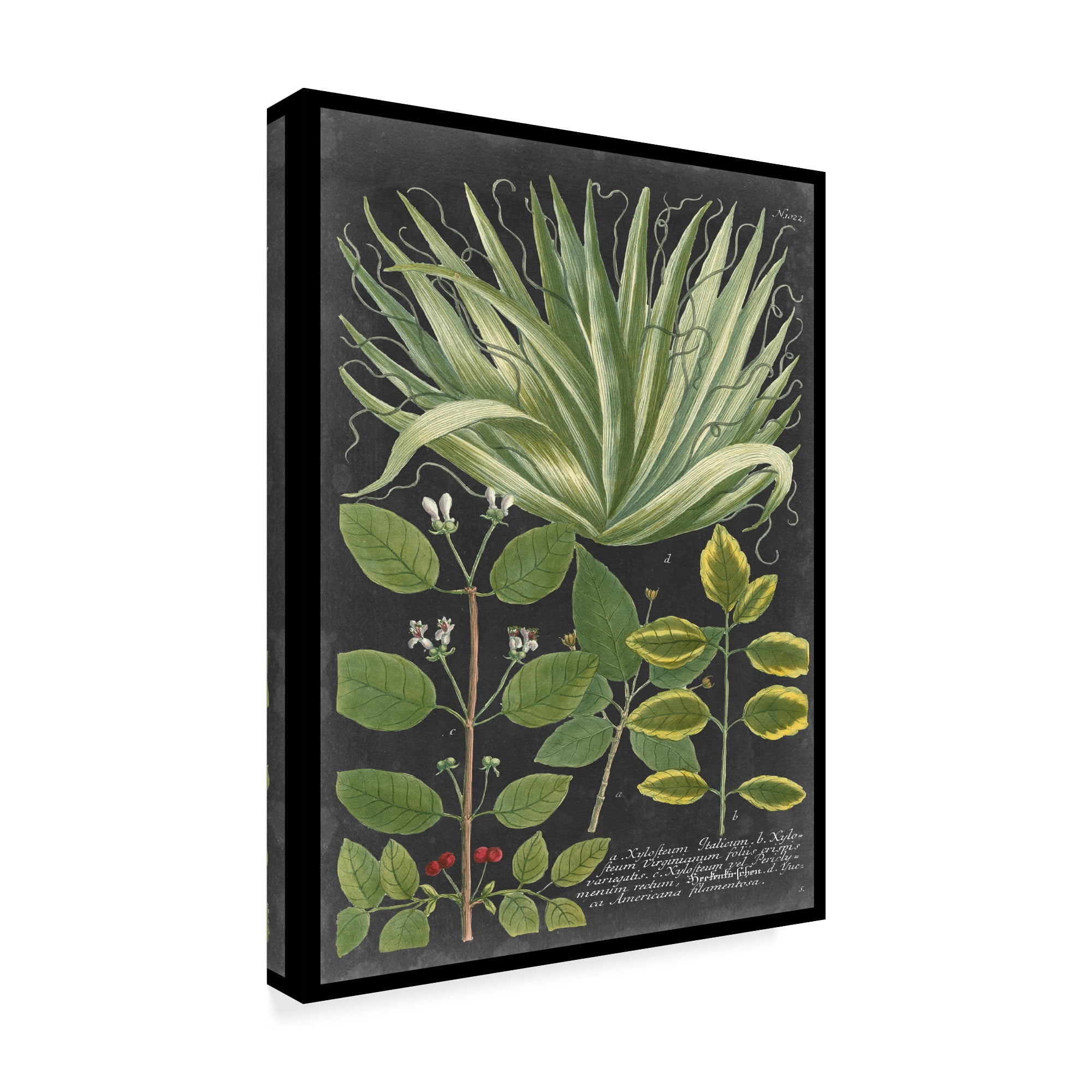 Trademark Fine Art 'Dramatic Weinmann Greenery IV' Canvas Art by Vision Studio