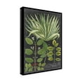 thumbnail image 2 of Trademark Fine Art 'Dramatic Weinmann Greenery IV' Canvas Art by Vision Studio, 2 of 4