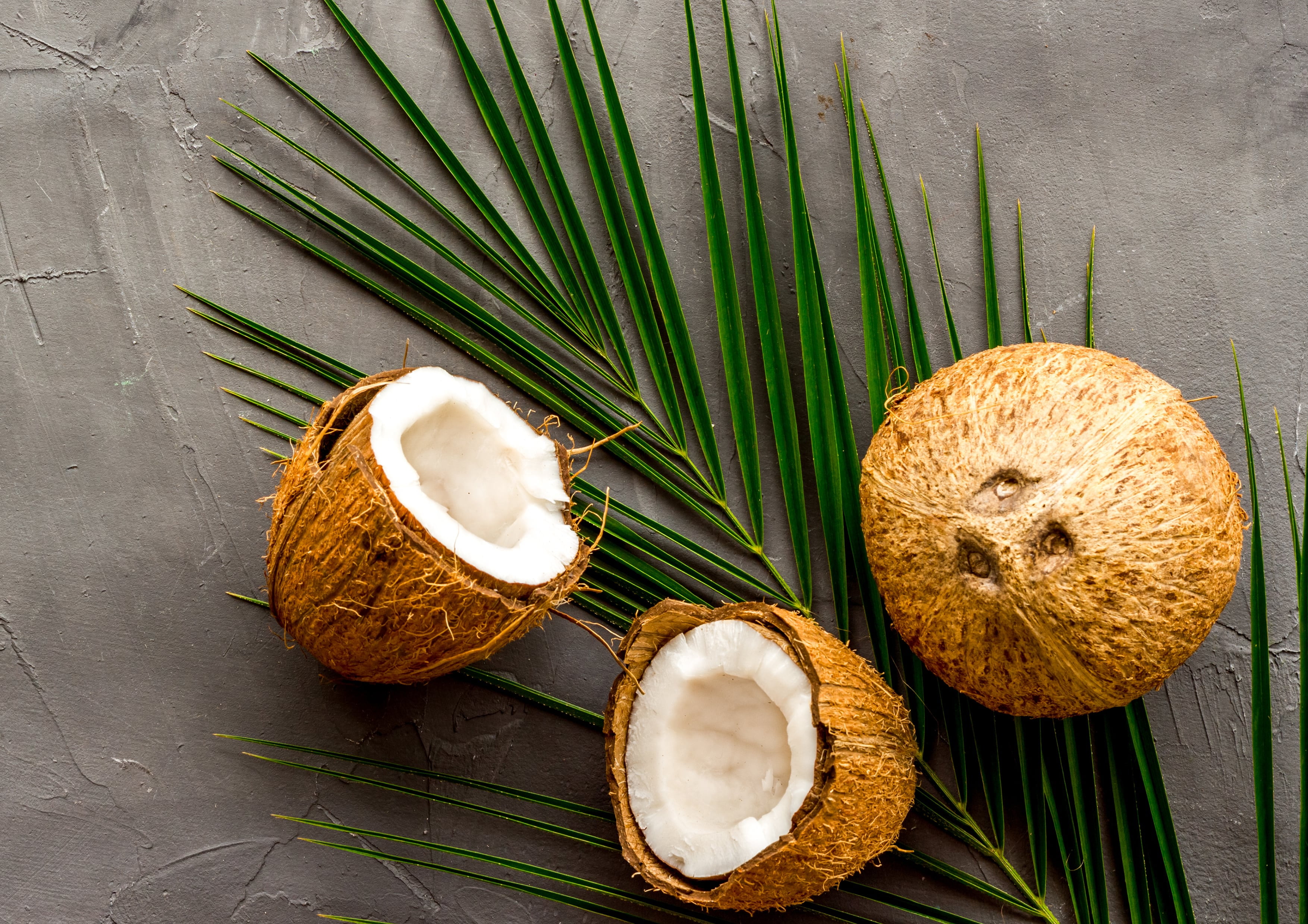 Organic Large Toasted Coconut Chips, 3 Pounds — Non-GMO, Kosher, Vegan — by Food to Live