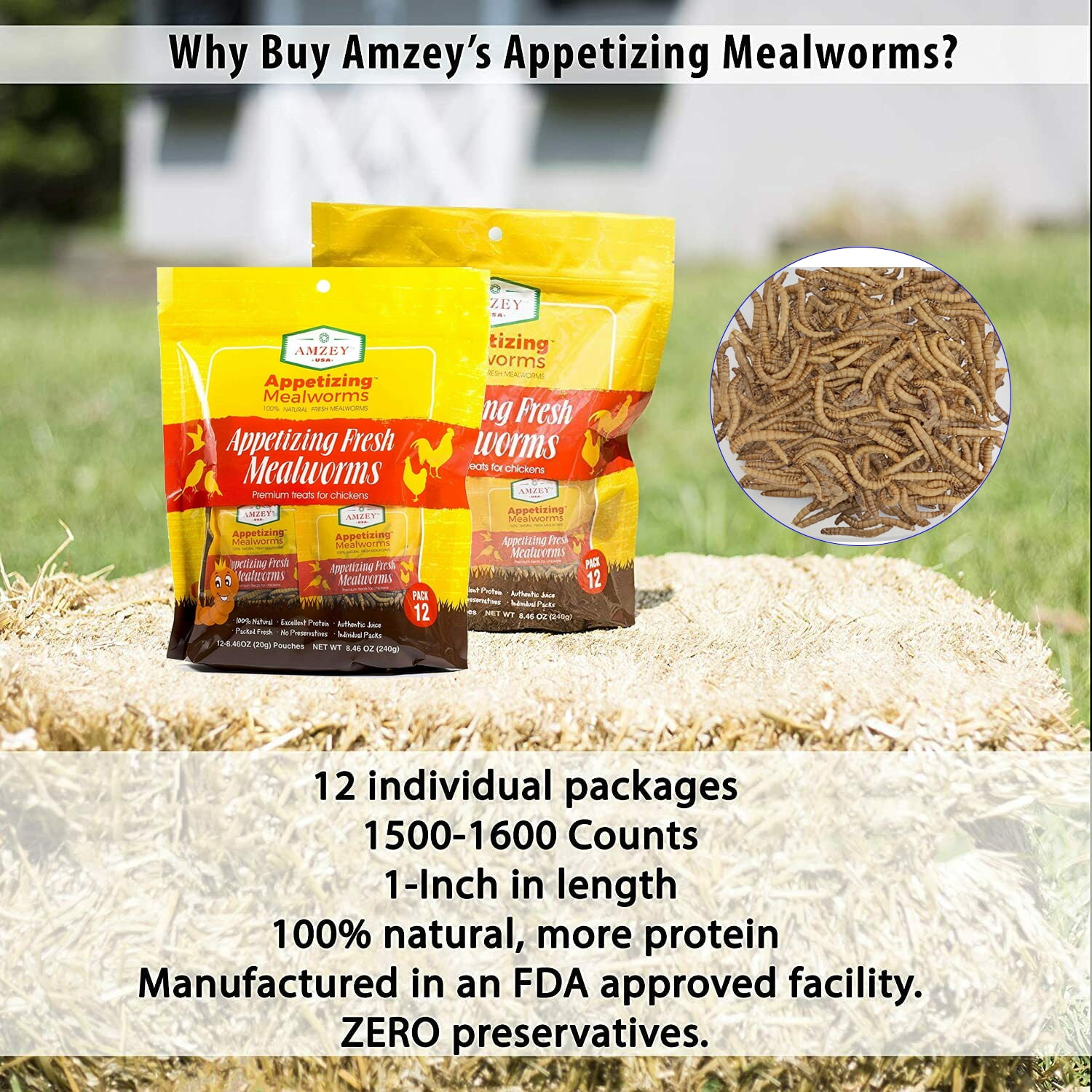 Amzey 2 Pack 8.4 oz 100% Non-GMO Fresh Mealworms, High-Protein Treats for Duck, Fish, Turtle, Chicken, Wild Bird, Crested Gecko, Reptile Food, 16.8 oz (24 Bags)