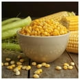 thumbnail image 3 of Everwilde Farms - 1 lb Bodacious F1 Hybrid Yellow Sweet Corn Seeds - Gold Vault Bulk Seed Packet, 3 of 3