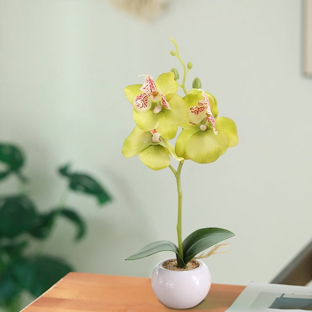 Simulación de orquídea Phalaenopsis, maceta redonda pequeña, tres flores, arreglo de bonsái, planta verde, macetas de flores artificiales