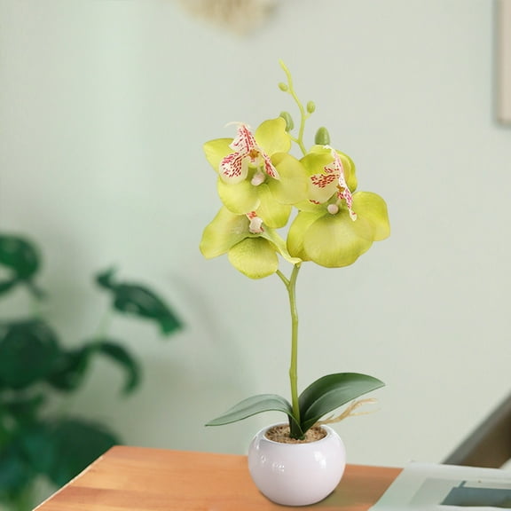 Artificial Silk Phalaenopsis Orchid Potted Plant-3 Flower Bonsai Simulation Arrangement in Ceramic Pot,11" Tall,Multiple Colors (Pink,White,Purple,Green,Red)-Home Office Decor