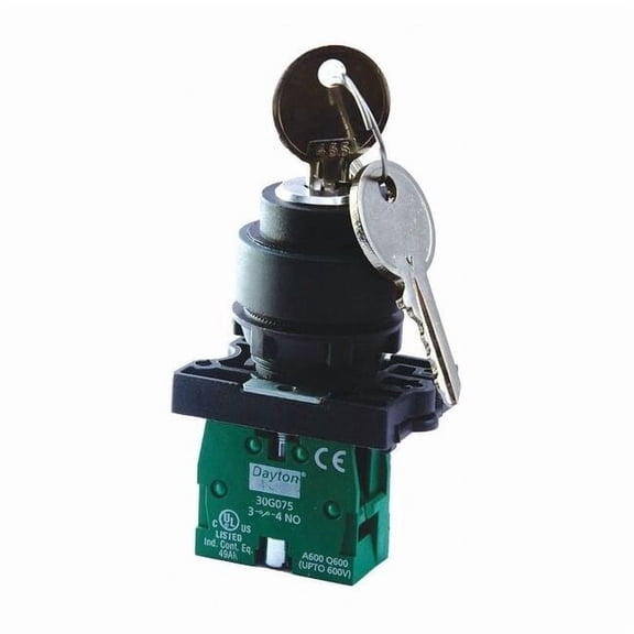 Dayton Non-Illum Selector Switch,Silver,Plastic 30G270