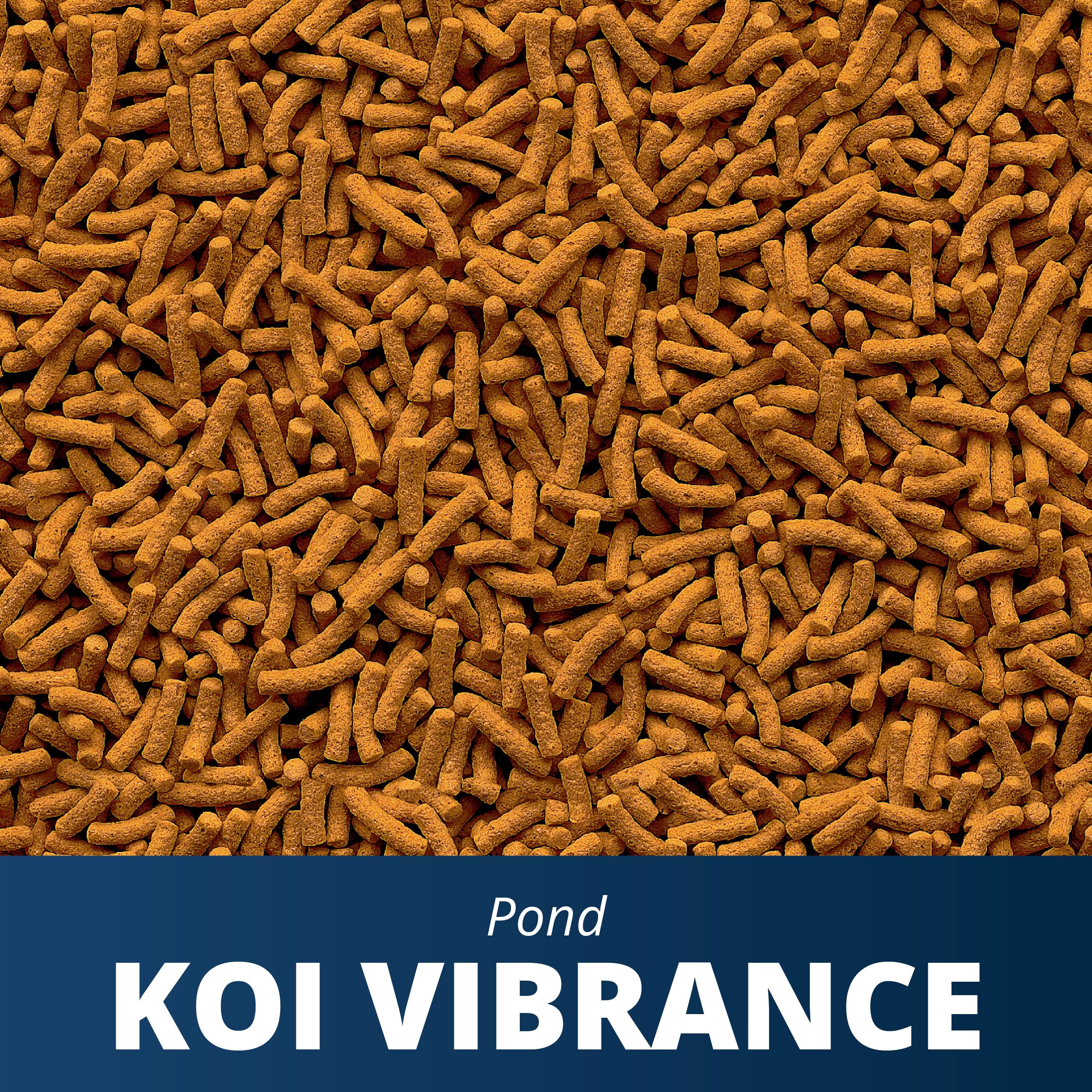 (3 pack) Tetra Pond Koi Vibrance Color Enhancing Floating Pond Fish Food, 4.94 oz