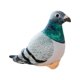 thumbnail image 3 of Animales de Peluche Hugo Paloma Realista Juguete de Peluche 20 cm Gris verdoso, 3 of 10