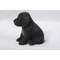 thumbnail image 3 of Hi-Line Gift Ltd Sitting Cockapoo Puppy Statue, 3 of 4
