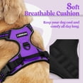 thumbnail image 2 of Arnés para perros Rabbitgoo, sin tirones, ajustable, morado, para perros grandes, 2 of 7