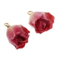 thumbnail image 3 of jifeng protoyszoom 2 Pcs Breloques Fleurs Réelles en Résine Pendentif Époxy pour, 3 of 9
