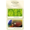 thumbnail image 2 of Microscopio Óptico Portátil para Niños con Lupa y Microscopio Científico de Mano, 2 of 9