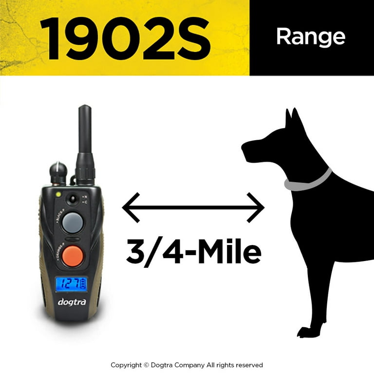 Dogtra 1902s reviews top
