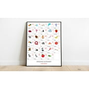 SWEDISH Alphabet POSTER Print With Words And English Translations (16 x 20 inches)