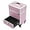 Pink, variant on YIYIBYUS Rolling Makeup Train Case, Durable Large Capacity Makeup Trolley Organizer w/Wheels, Professional Manicure Storage Case Rolling Nail Case W/lock (Pink)