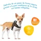 thumbnail image 5 of Arnes Para Perro Nylon Pechera Perro Grande / Mediano Comoda, 5 of 8