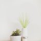 thumbnail image 4 of BESTYASH 15Ud Plantas Artificiales Para De Hogar Y Oficina Verde, 4 of 6
