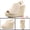 Beige, variant on Slingback Platform Wedges Heel Espadrille Wedge Sandals Beige 7