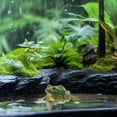 thumbnail image 4 of OFFIGAM 4pcs Lifelike Frog Resin Statue Decorative Miniature Landscape Accessory, 4 of 8