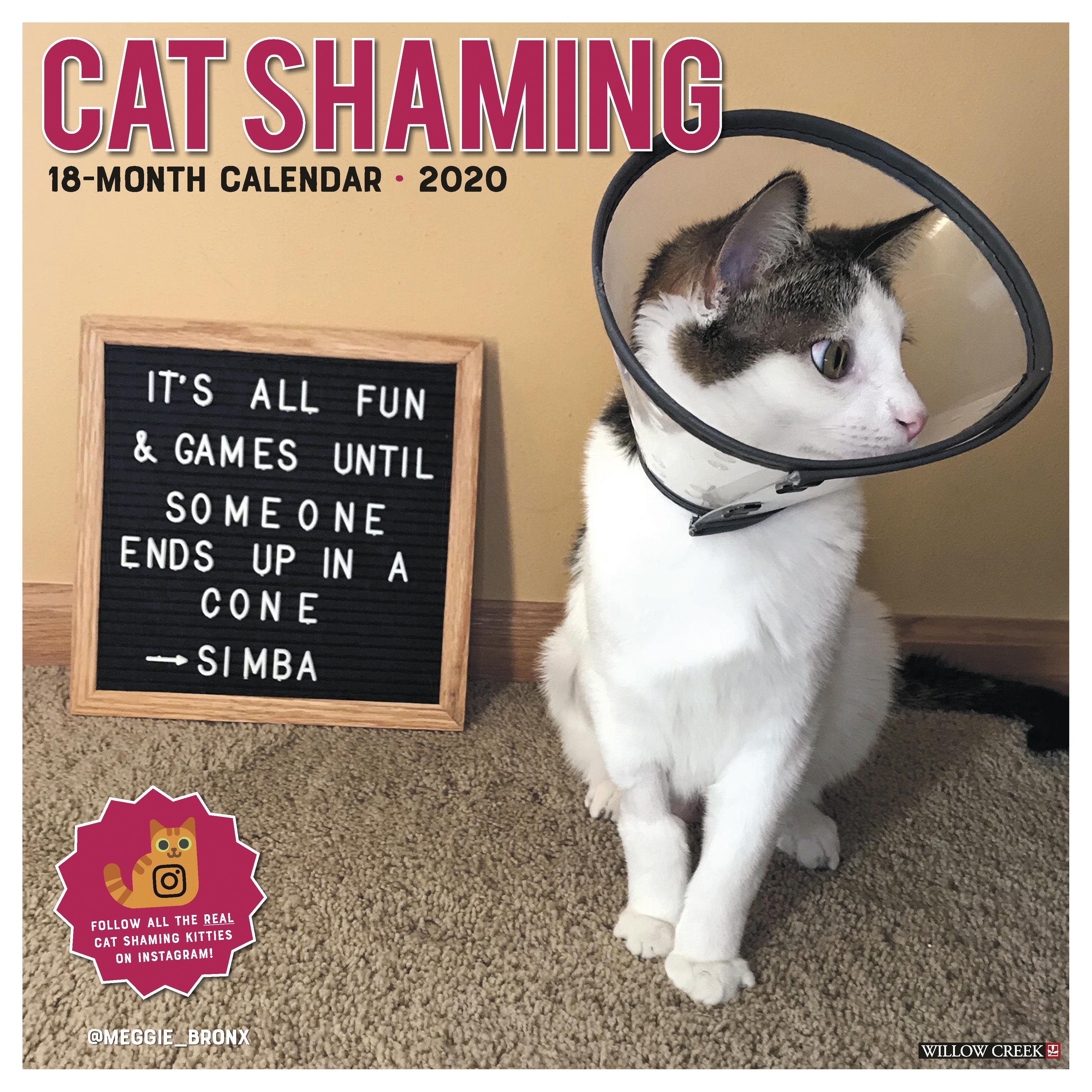 Cat Shaming 2020 Wall Calendar (Other) - Walmart.com - Walmart.com
