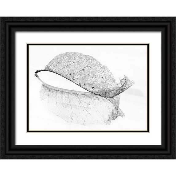 Holmstrom, Katarina 24x18 Black Ornate Wood Framed with Double Matting Museum Art Print Titled - The old leaf