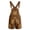 AB10 Brown, variant on Suspender Shorts For Boys Kids Fashionable High Waist Adjustable Straps Overalls Floral Print Festival Party Casual Shorts Size 10-11 Years Brown