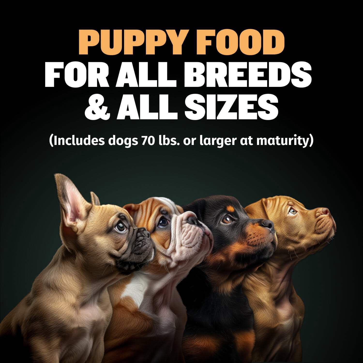 Bully Max 26/12 High Protein Chicken Wet Puppy Food, 2 lb. Bag (makes 5.5 lbs.)