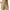 Khaki, variant on Womens Casual Shorts Drawstring Comfy Elastic Waist Shorts Summer Pull On Short with Pockets S-5XL