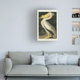 thumbnail image 3 of John James Audubon ' White Pelican' Canvas Art, 3 of 3
