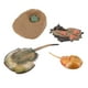 thumbnail image 2 of Juguete Zulema Naturaleza Ciclo de Educación Infantil Aprendizaje Juego de crecimiento de insectos para niños, 2 of 8