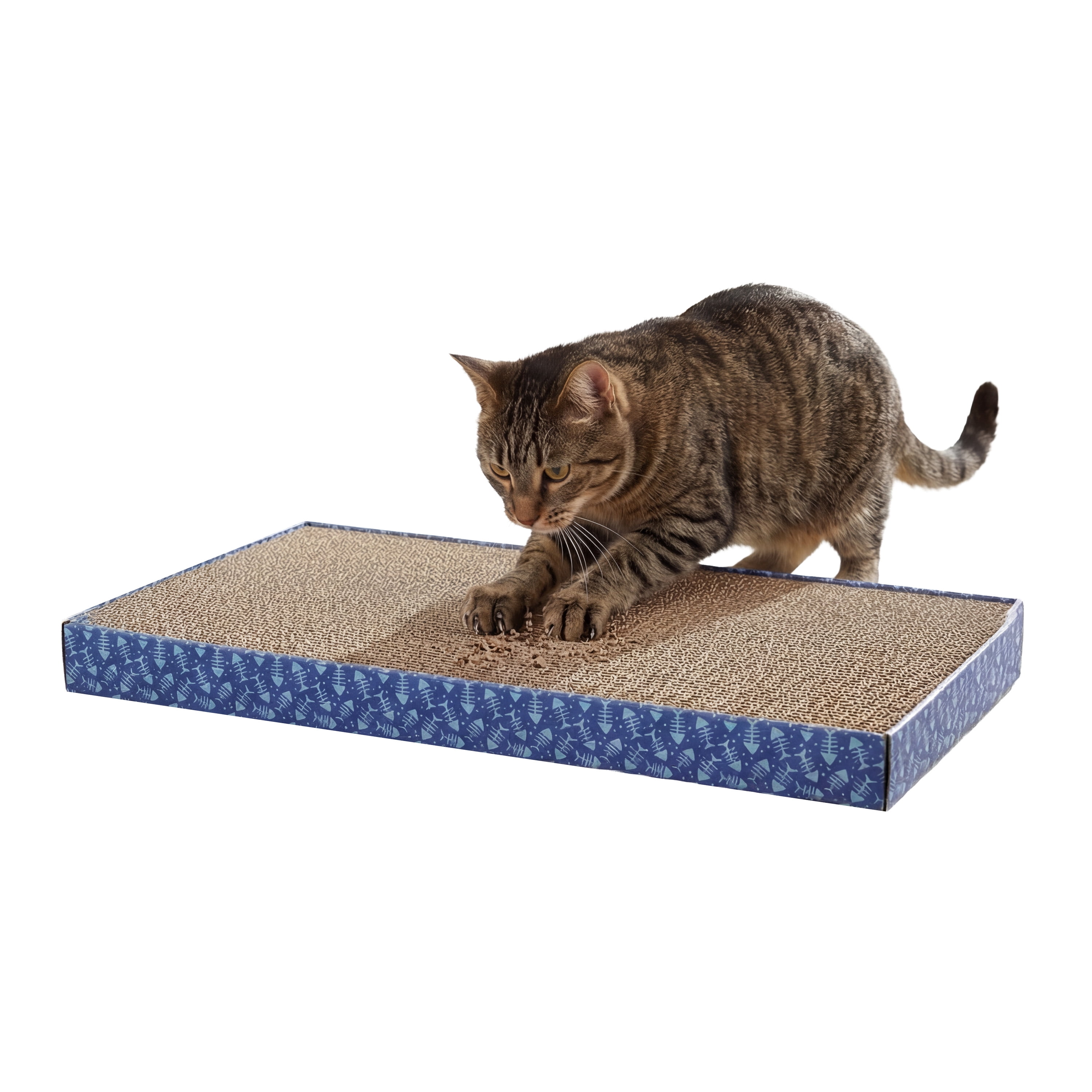 Kitty City Fish Bone Print 5-Pack Cat Scratching Pads, Multicolored, One Size