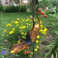 thumbnail image 2 of Premium Butterfly Feeder - Outdoor Hanging Banana Hammock for Butterflies & Birds, Garden Decor Hanger with Banana Bird Butterfly Feeder, 2 of 9