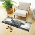 thumbnail image 2 of Highland Cow Kitchen Mat Soft and Absorbent Bath Mats for Bathroom Non Slip Quick Dry Shaggy Bath Carpet Machine Wash for Kitchen Bathroom Shower 39x20 in Home Decor, 2 of 7