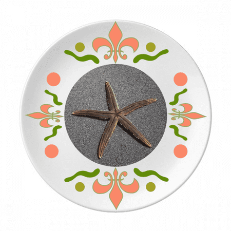 

Grey Wall Starfish Science Nature Picture Flower Ceramics Plate Tableware Dinner Dish