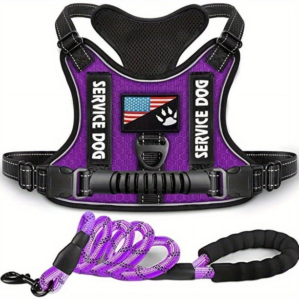 Adjustable No-Pull Pet Harness & Leash Set - Perfect for Dogs & Cats Walking!