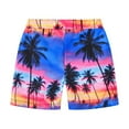 thumbnail image 5 of NAISIBABY Summer Kids Boys Girls Beach Vacation Printed Shorts, Children's Beach New Fashion Sports Shorts Multicolor 4 T, 5 of 5