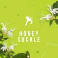 thumbnail image 3 of Febreze Air Effects Odor-Fighting Air Freshener Honeysuckle, 8.8 oz, 3 of 8